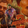 Pushpa 2 HD Free डाउनलोड  करने सेआपके कंप्यूटर को वायरस या हैकर्स से खतरा हो सकता है. पायरेसी साइट्स पर अक्सर ऐसे खतरनाक सॉफ़्टवेयर होते हैं जो आपके कंप्यूटर को खराब कर सकते हैं और आपकी निजी जानकारी चुरा सकते हैं.